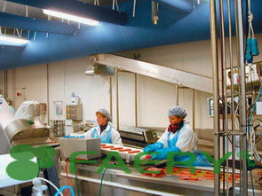 法布瑞克機械產(chǎn)品概覽與法律注意事項