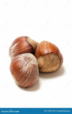 網游代理新藍海 《三國將無雙》0.1折魂穿三國模式的國際化運營之道